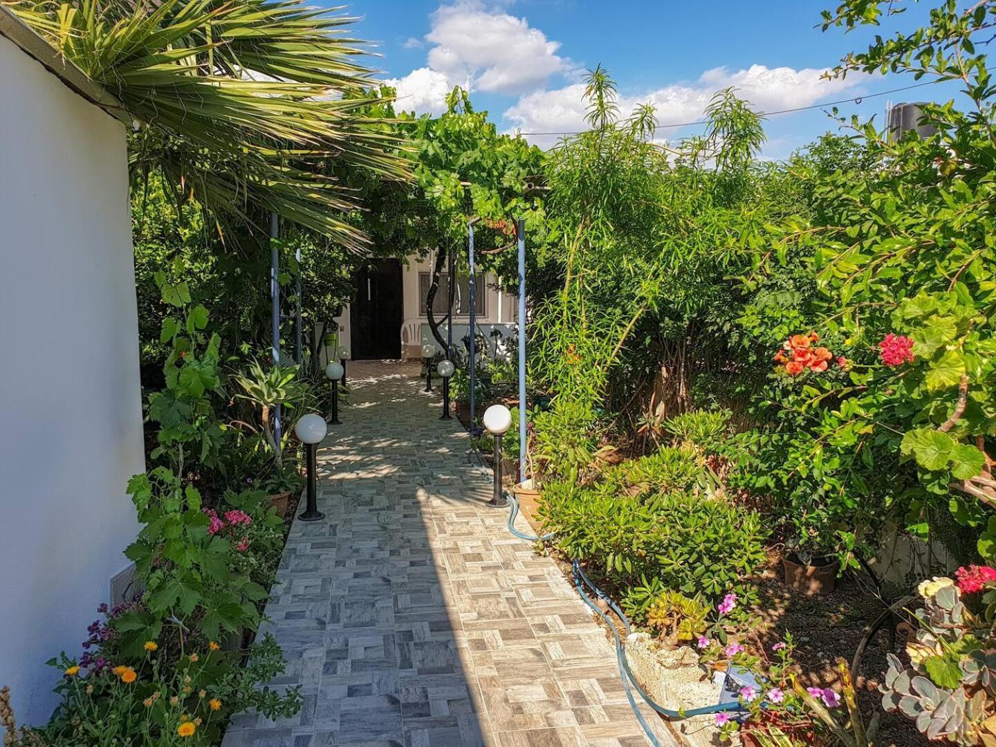 فيلا Maria'S House, With Garden كالاماكي المظهر الخارجي الصورة