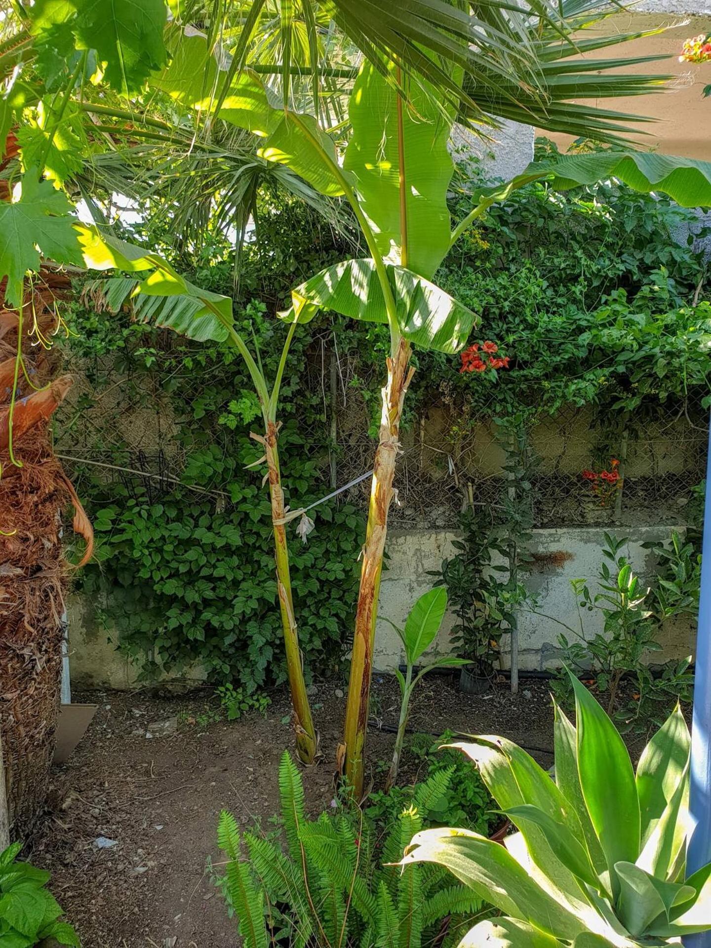 فيلا Maria'S House, With Garden كالاماكي المظهر الخارجي الصورة